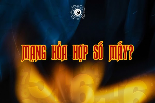 menh-hoa-hop-so-nao